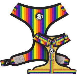 Pride Rainbow Flag | Adjustable Mesh Harness